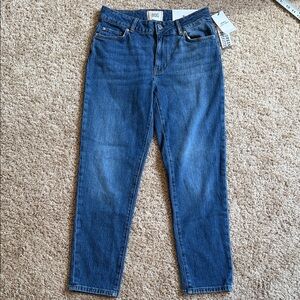 BDG Mid Rise Skinny Jeans